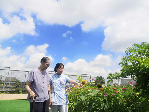 空中花园